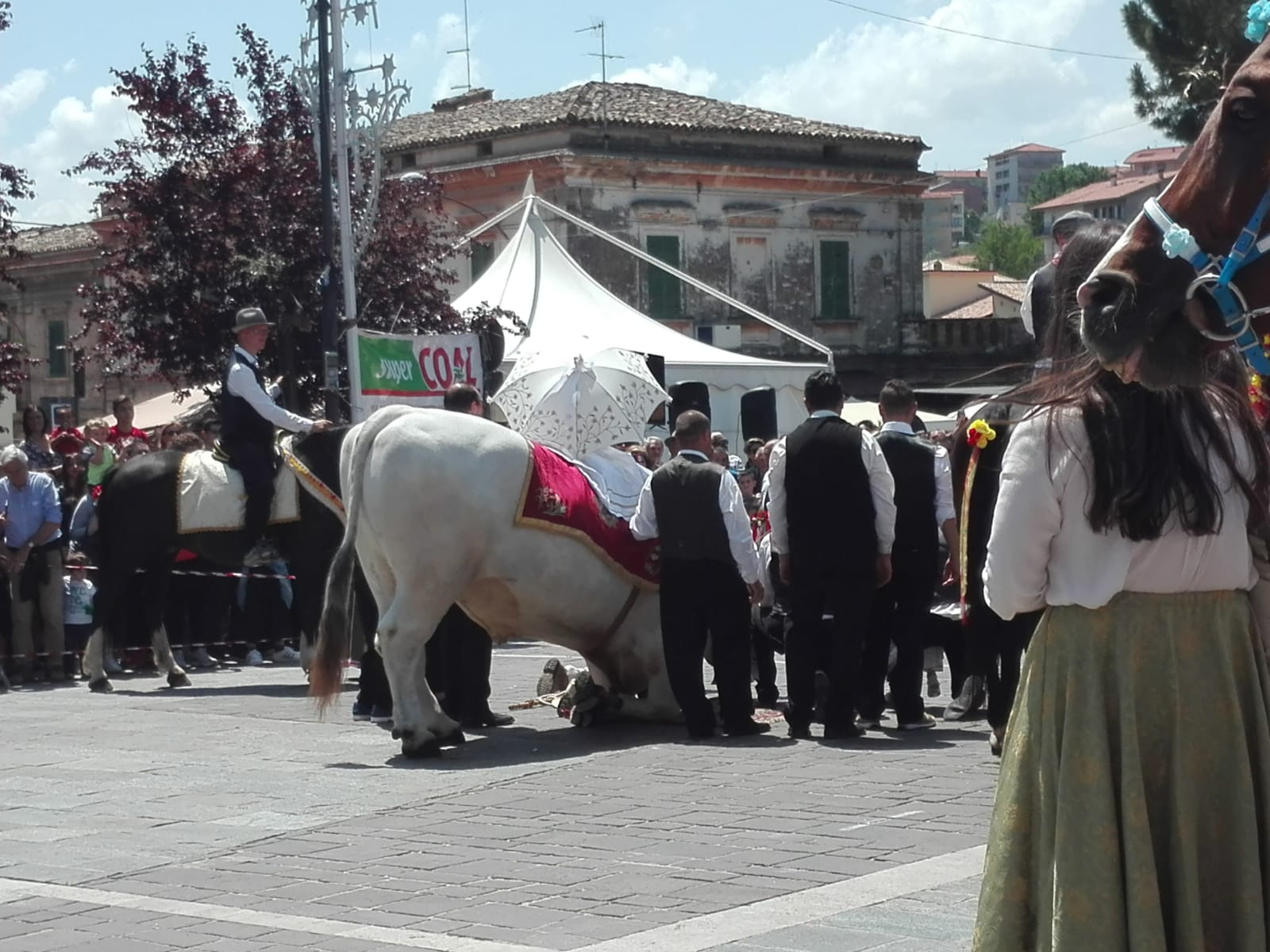 sanzopito2018-1