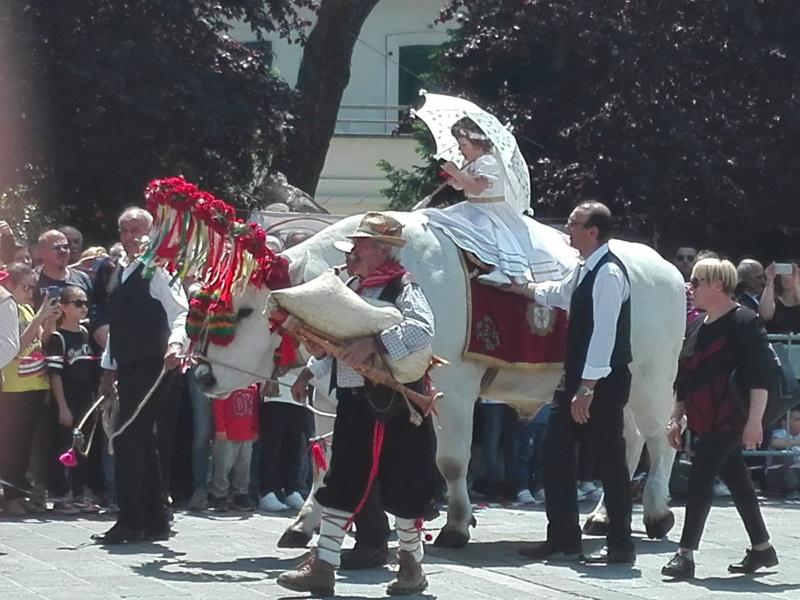 sanzopito2018-7